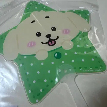 a-nation 2025 재희 jaehee 부채 NCTWISH