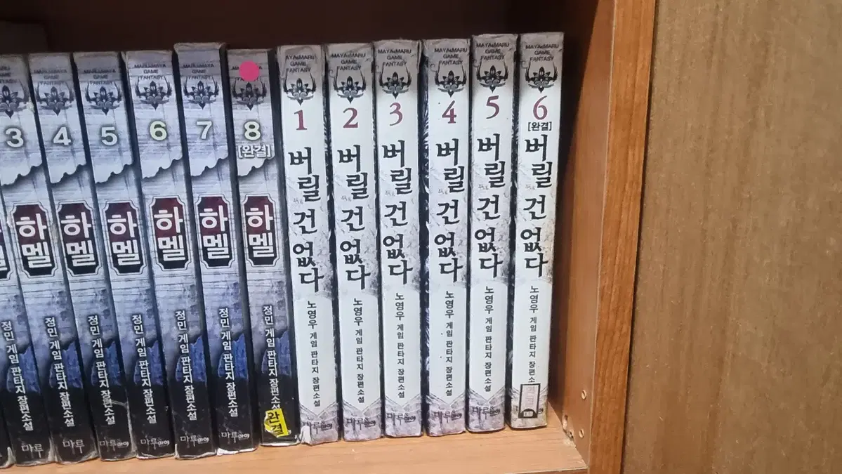 버릴건없다 1-6 완 노영우 게임판타지 소설