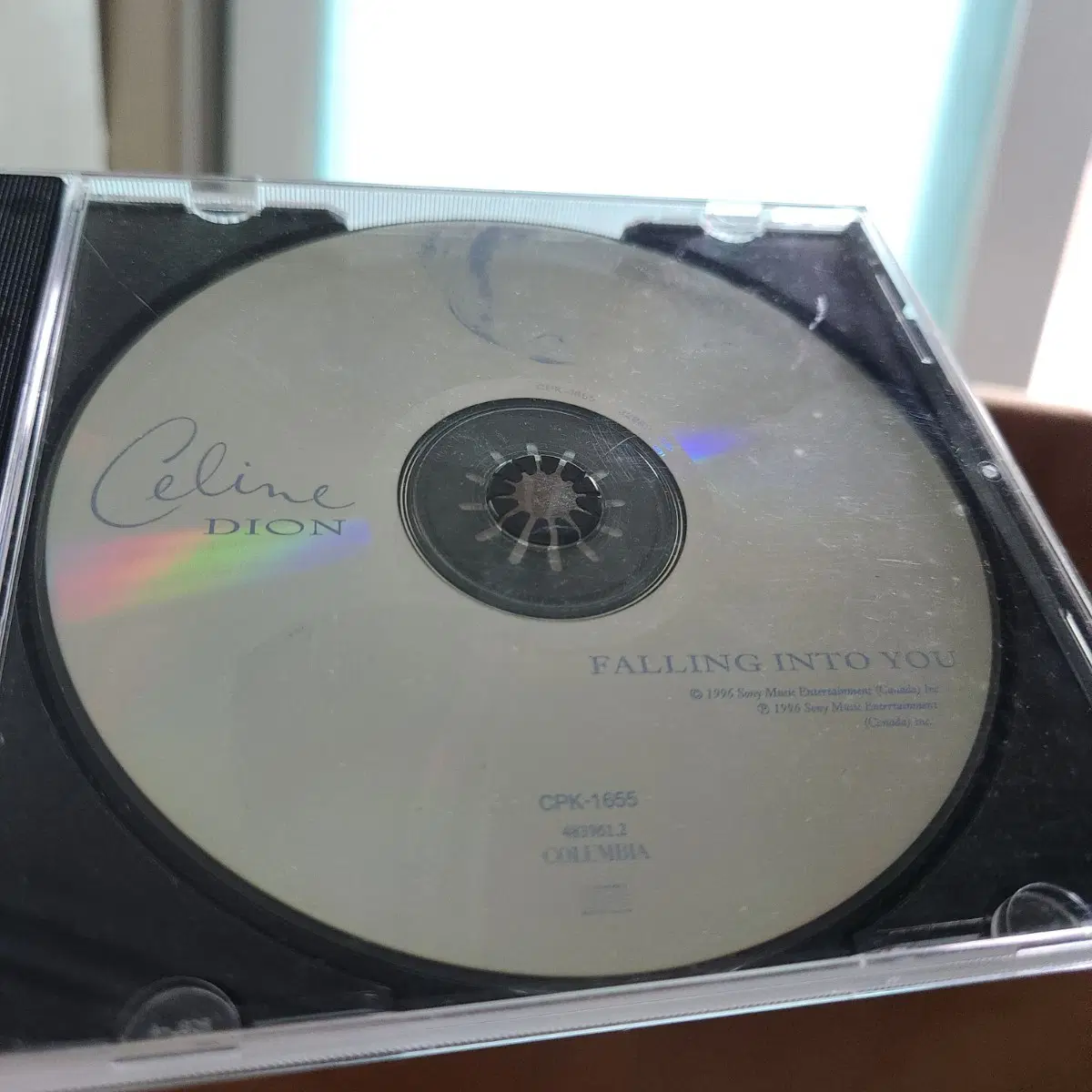 셀린 디온 Falling Into You CD