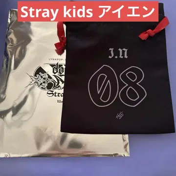 Stray Kids 스키즈 VR 랜덤 복조리 파우치 아이엔
