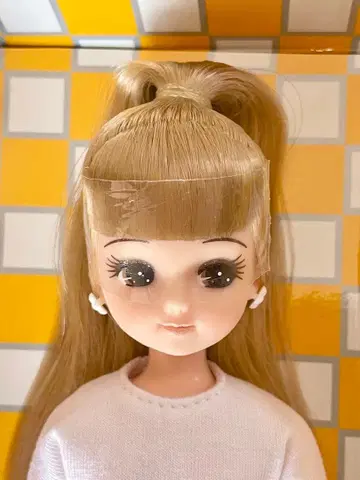 리카짱 캐슬 오리지널 컬렉션 모델