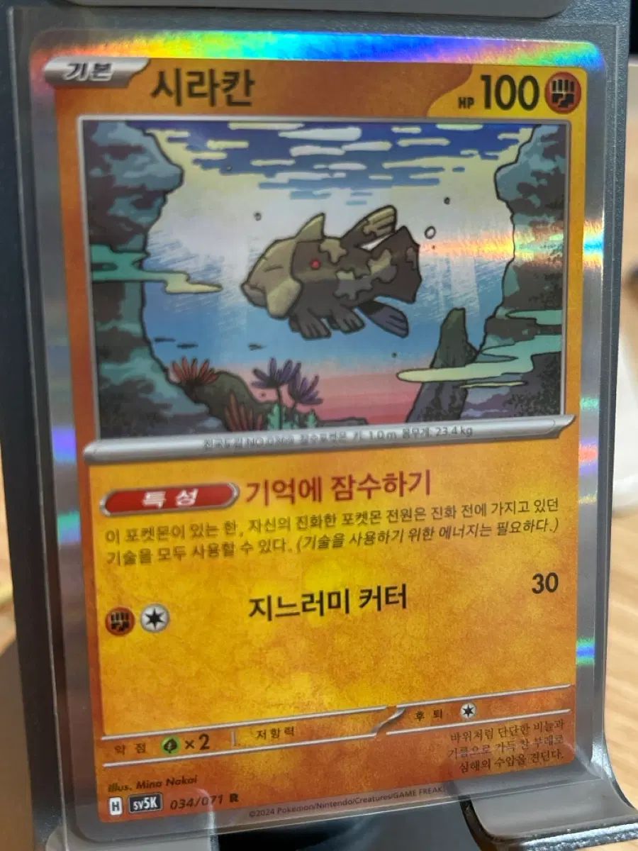 포켓몬 카드 시라칸 r 미러 홀로그램