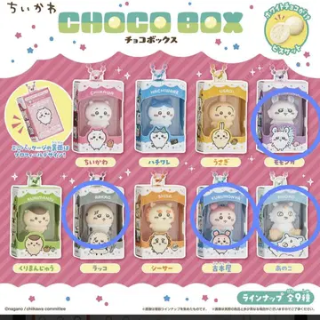 치이카와 초코 박스