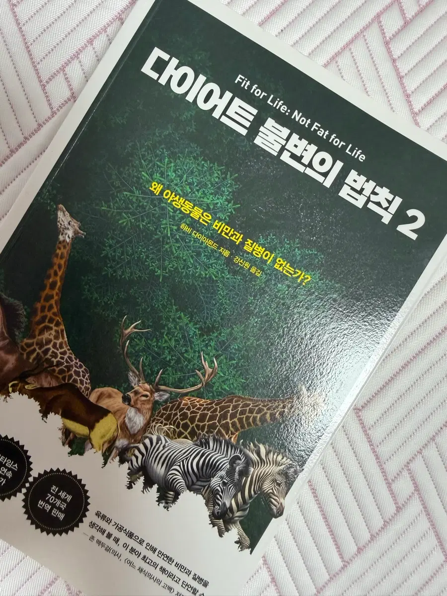 다이어트 불변의 법칙 2