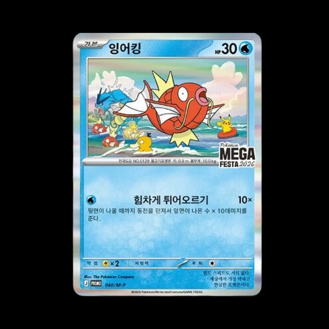 포켓몬 카드 잉어킹 MEGA FESTA 2026 미개봉 판매