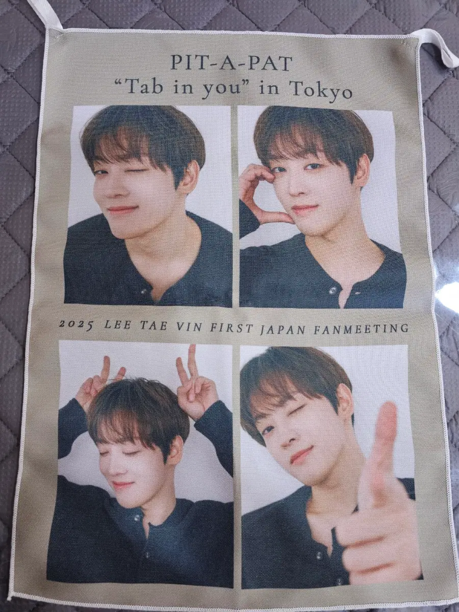 이태빈 2025년 일본 팬미팅 굿즈 패브릭 포스터(원가양도)
