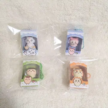 인기 치이카와 초코 박스 4개 밤만쥬 그 아이 시사 헌책방