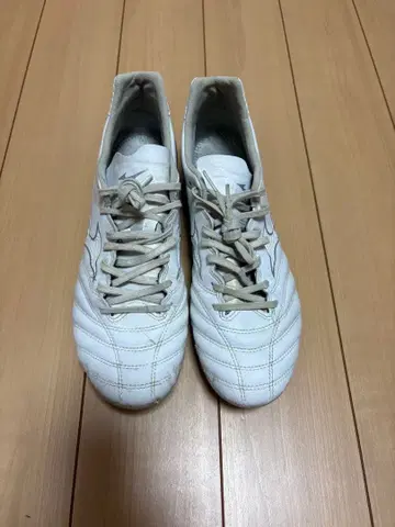 미즈노 모나르시다 네오 2 프로 25.5cm