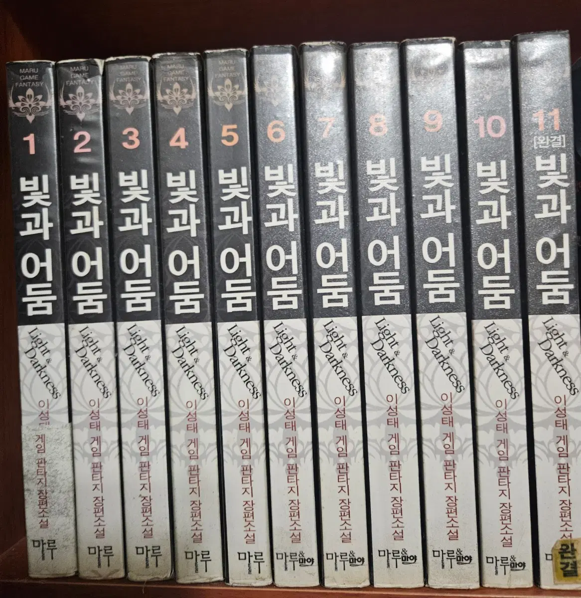 빛과어둠1-11완
