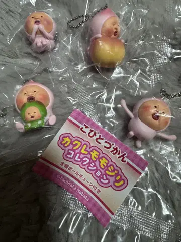 난쟁이 도감 카쿠레모모지리 컬렉션 4세트