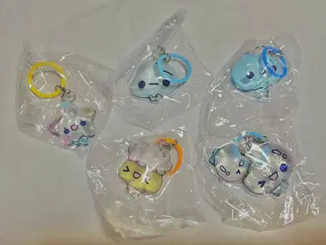 아와와짱 5종 세트
