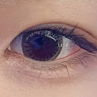 네오이즘 시크그레이