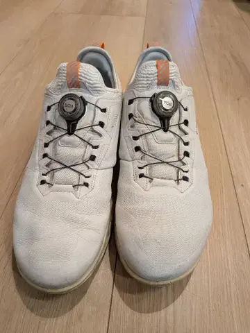 ECCO BIOM C4 BOA 골프화 27.5cm GORE-TEX