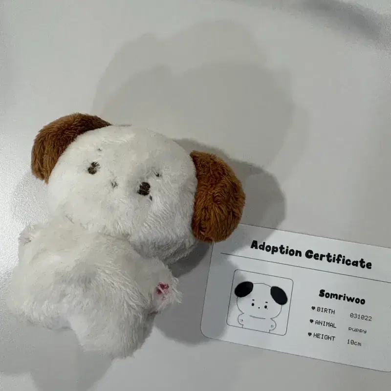솜리우 인형