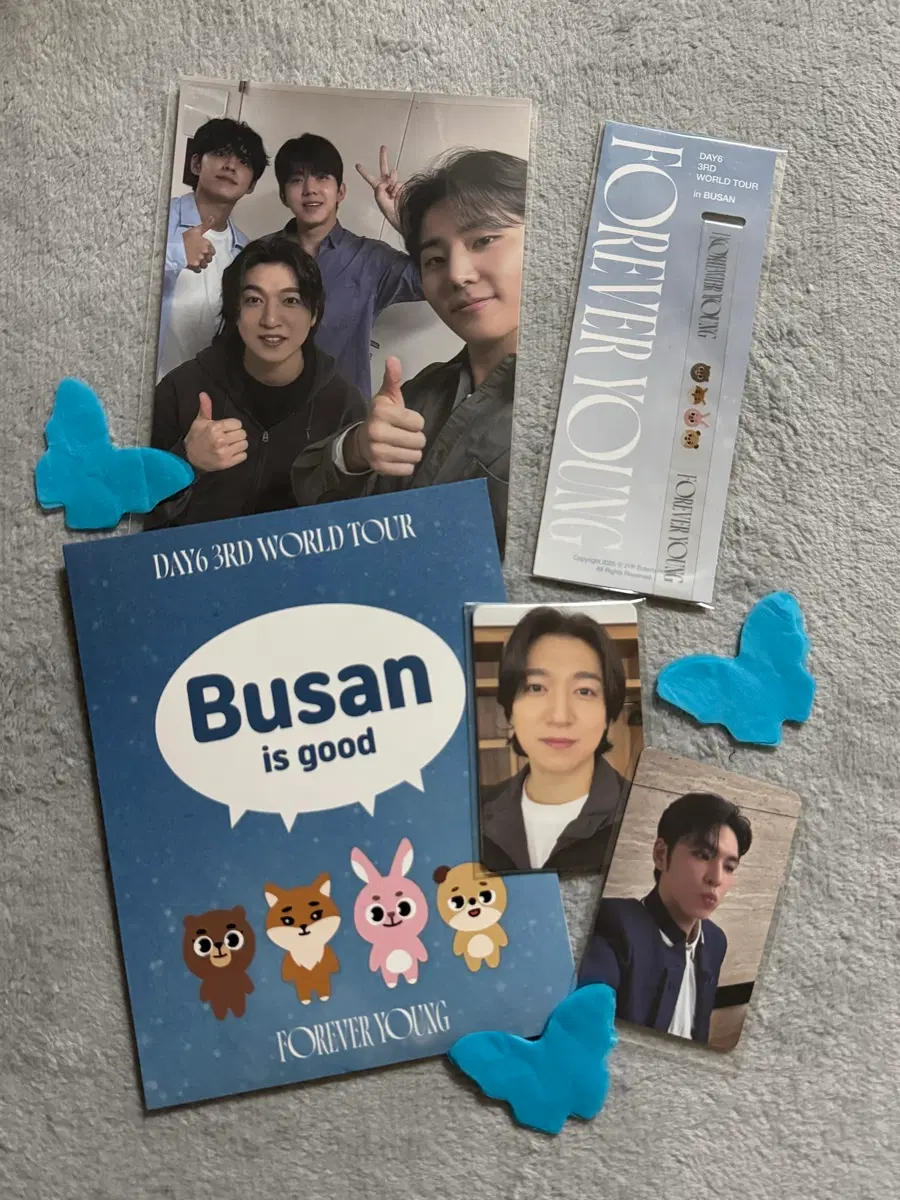 데이식스 포에버영 부산 첫콘 기프트+원필포카