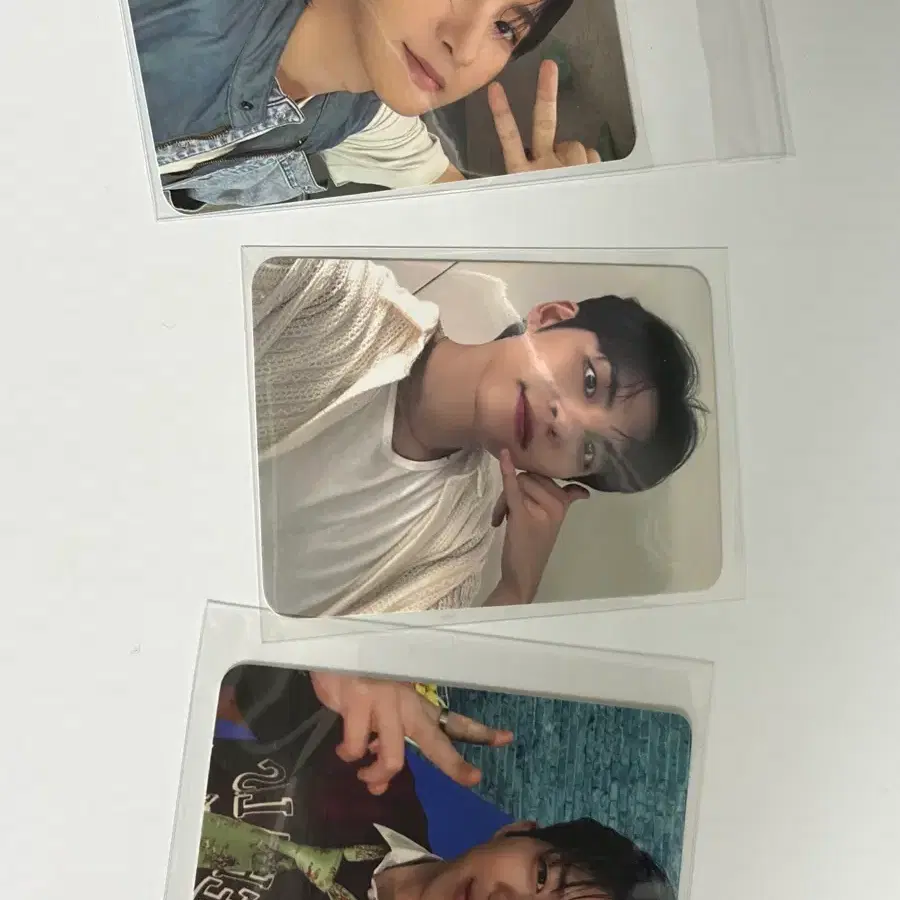 데이식스 및 엔시티 포카