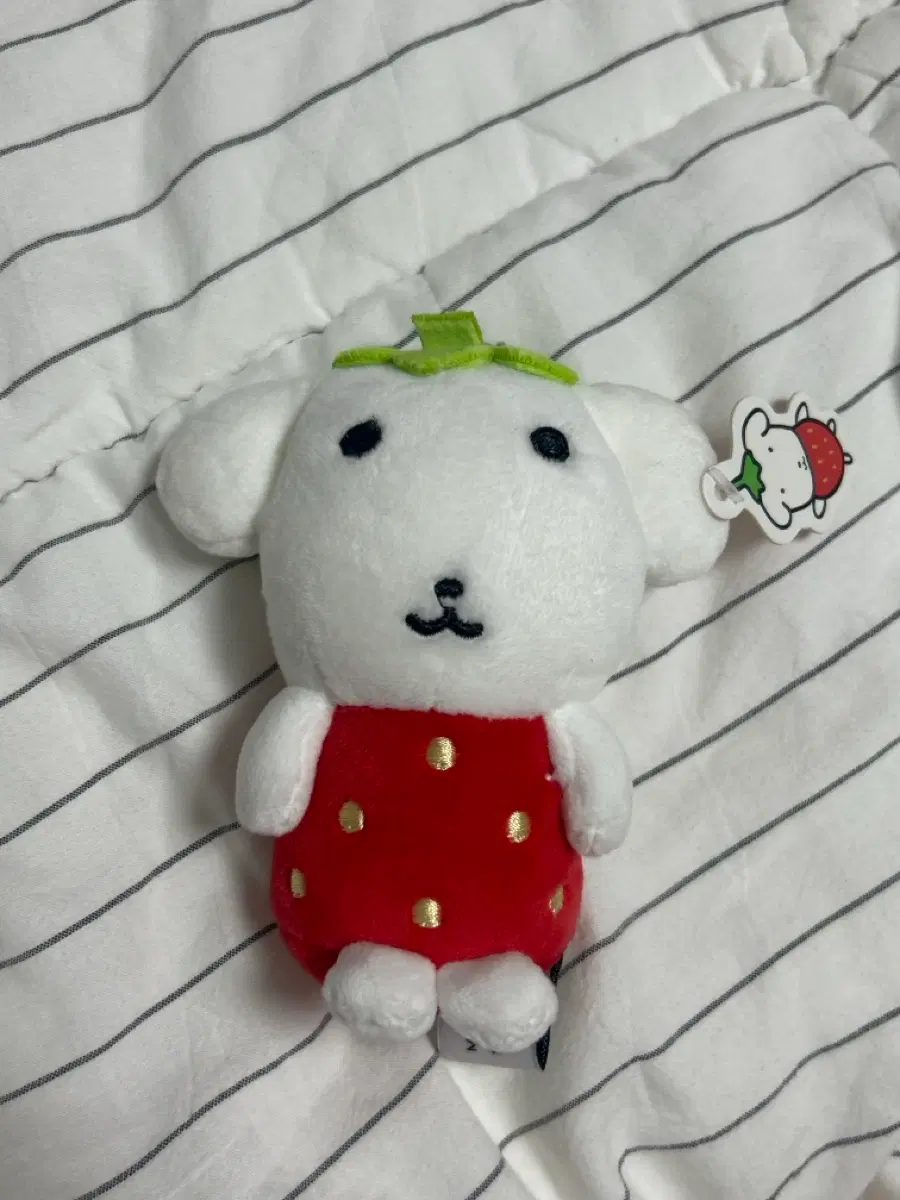 딸기 가나디 인형 키링