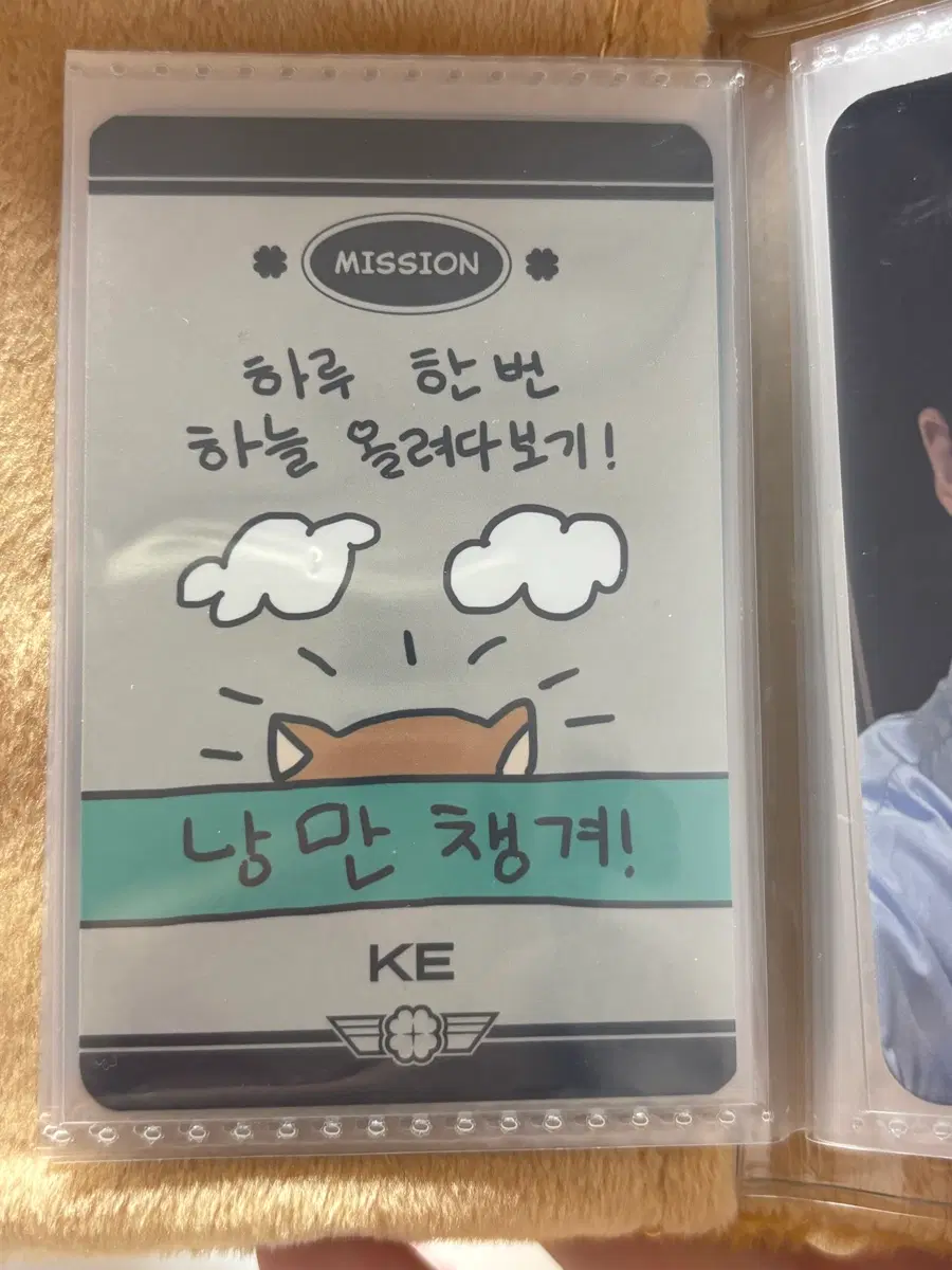 데이식스 영현 영케이 케 미션나인 입장포카