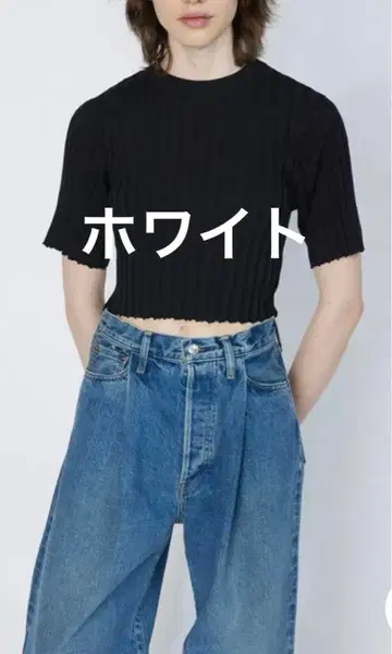 HYKE 하이크 WIDE RIBBED SHORT-SLV SWEATER