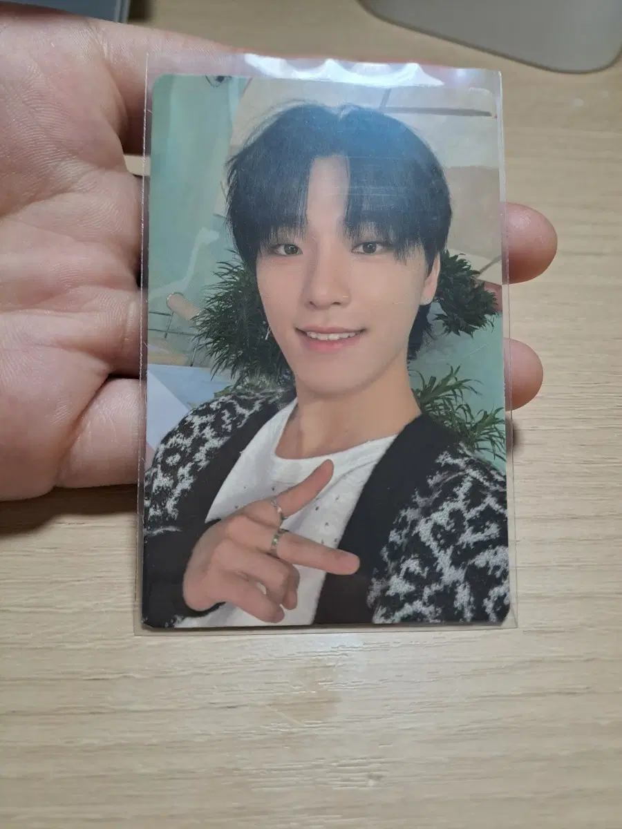 세븐틴 디노 포토카드
