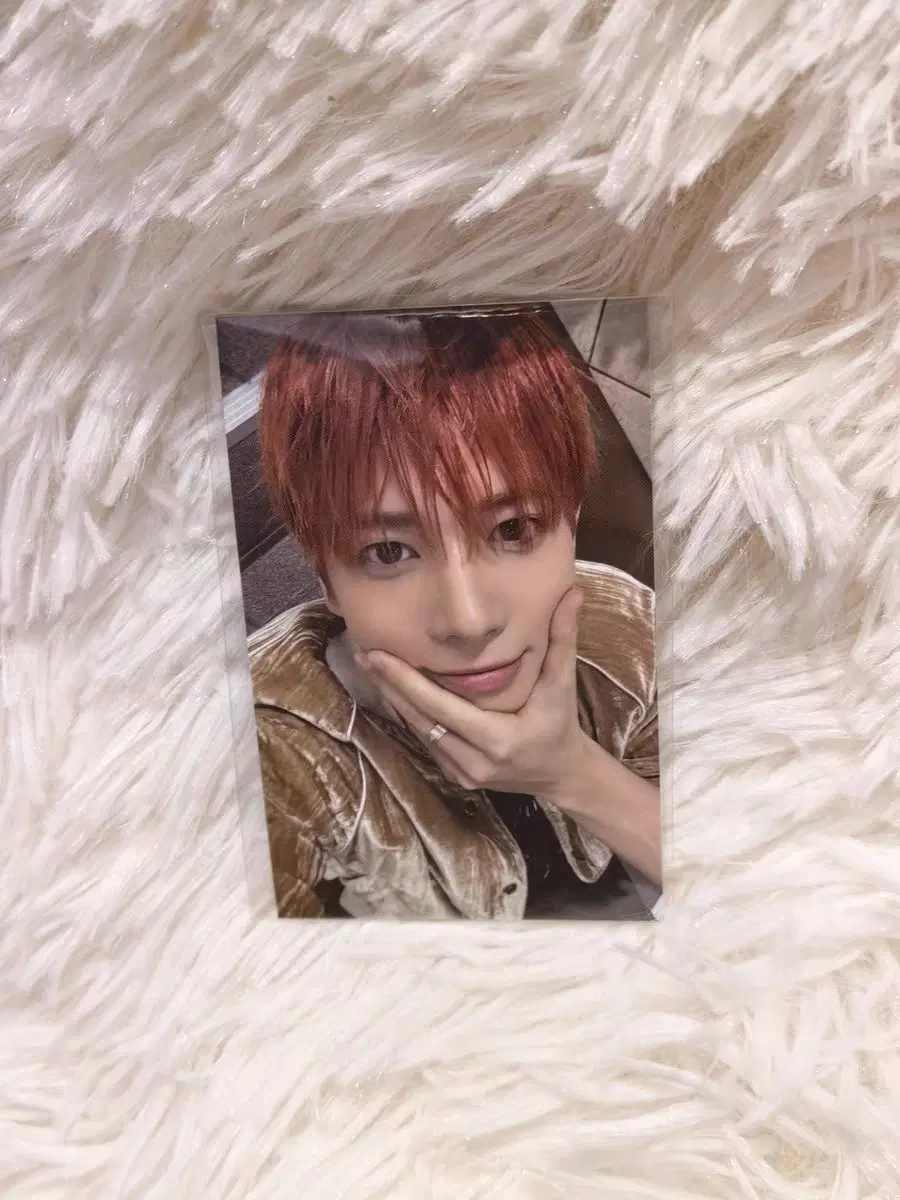 예판 txt 상하이 포카