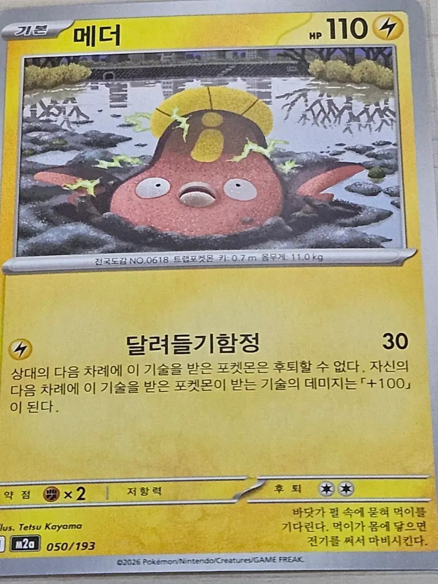 포켓몬카드 메더