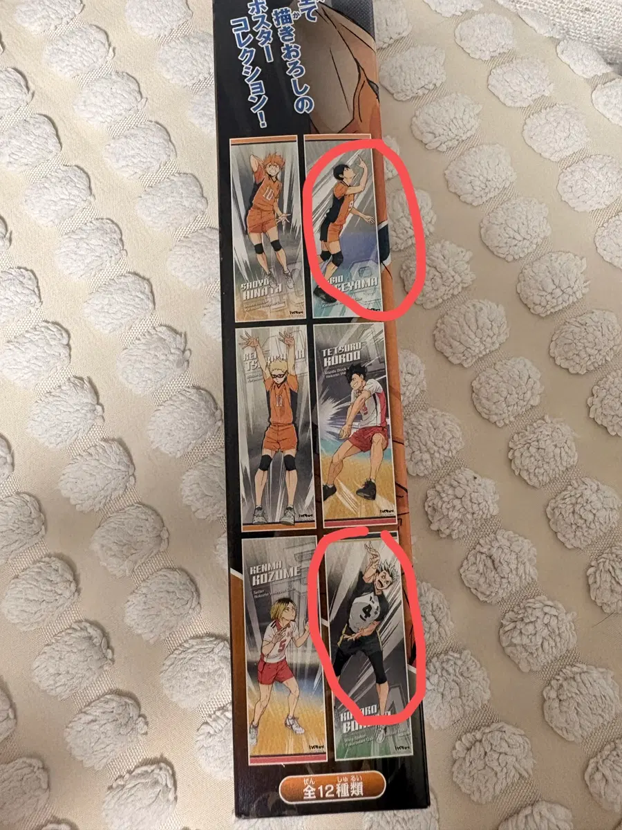 하이큐 포스터 카게야마 보쿠토 일괄
