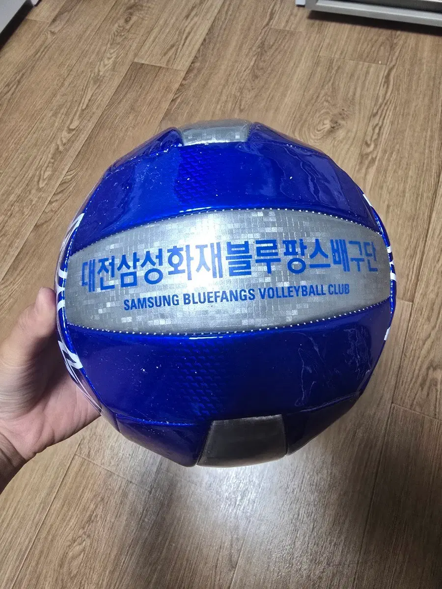 삼성배구공 (급처)