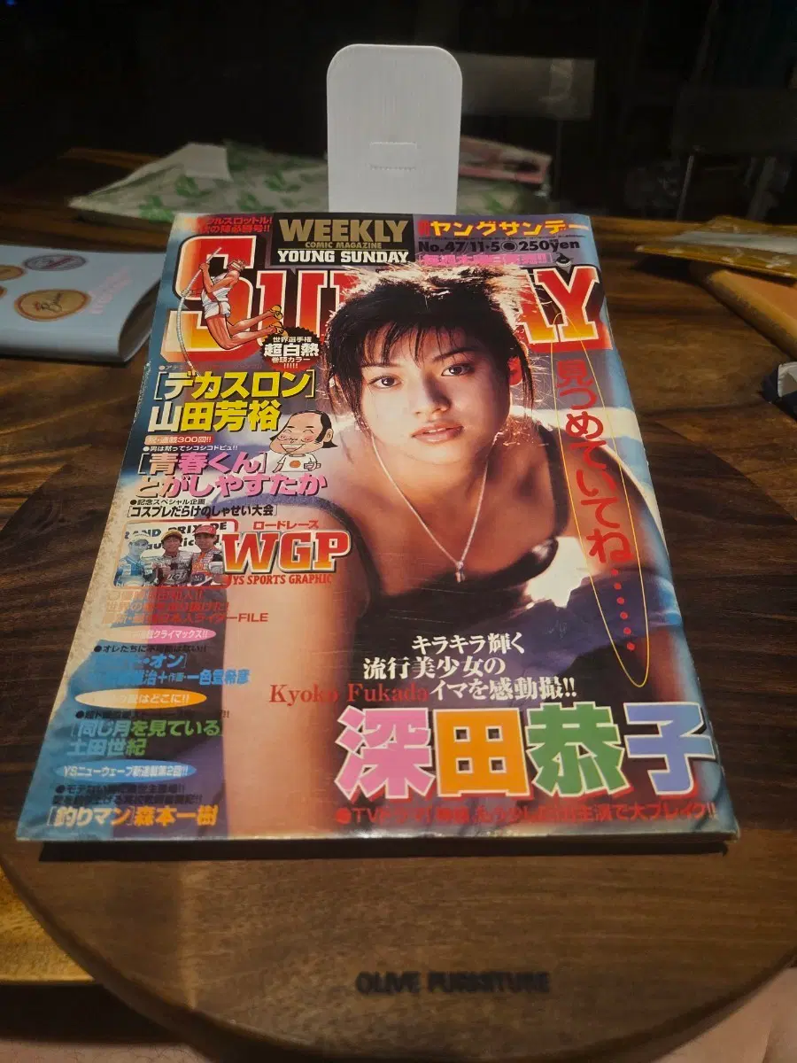 Weekly Young Sunday 1997년11.5호No.47