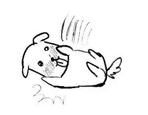 S23 안전결제창