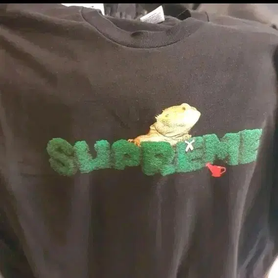 슈프림 도마뱀 20ss 반팔티 블랙