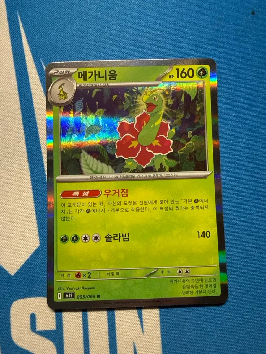 포켓몬카드 메가니움 R