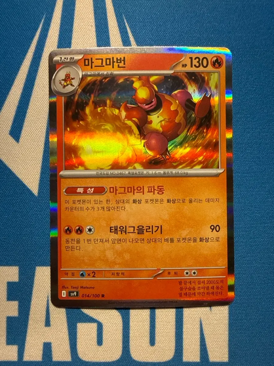 포켓몬카드 마그마번 r