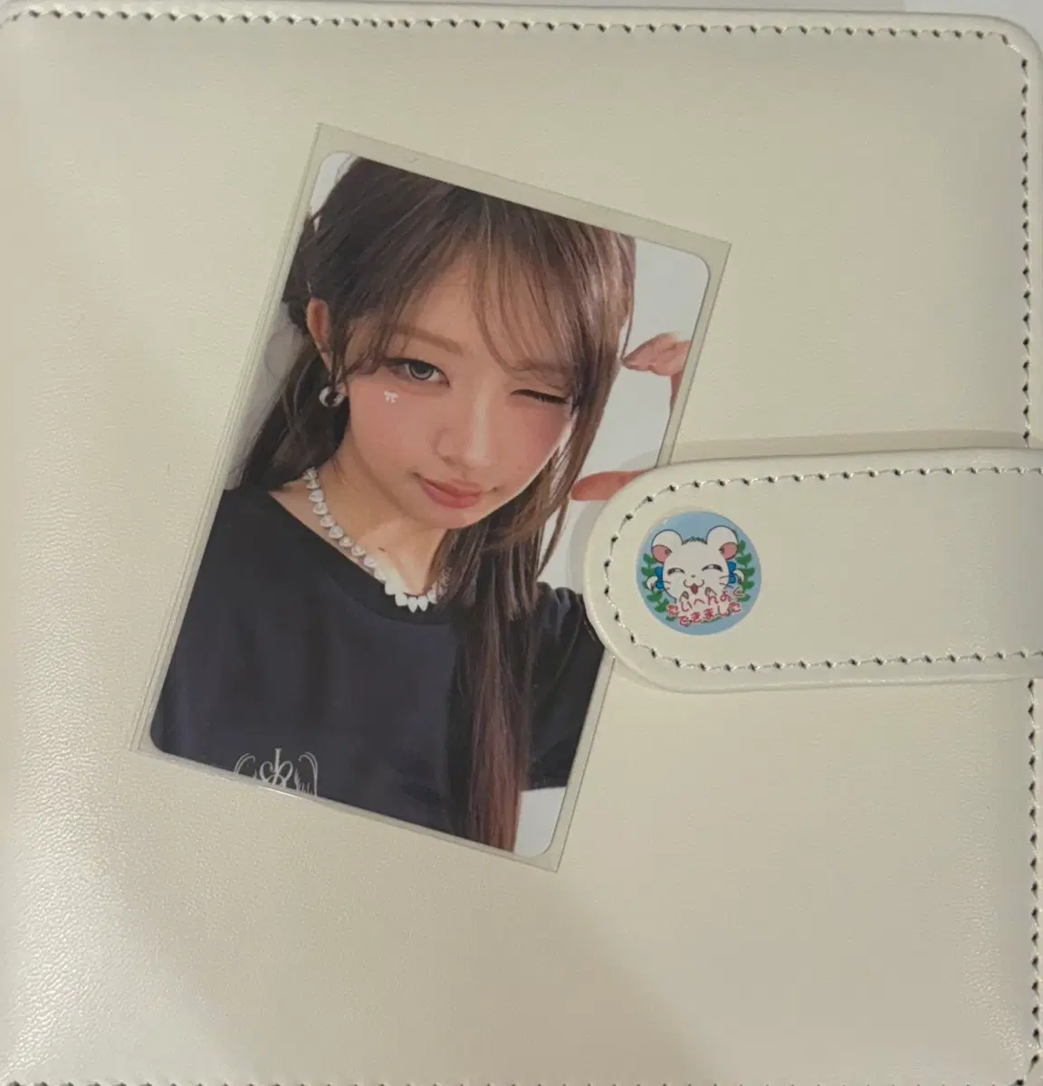 아이브 루시드 드림 도쿄돔 레이