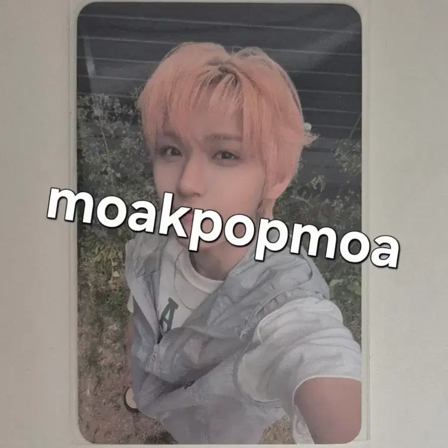 아홉 다이스케 런투유 공방 포카 양도 판매 sell wts ahof