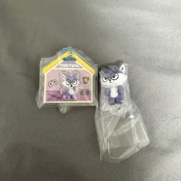 MINITEEN FOXDUNGEE 원우 가챠 패키지 참