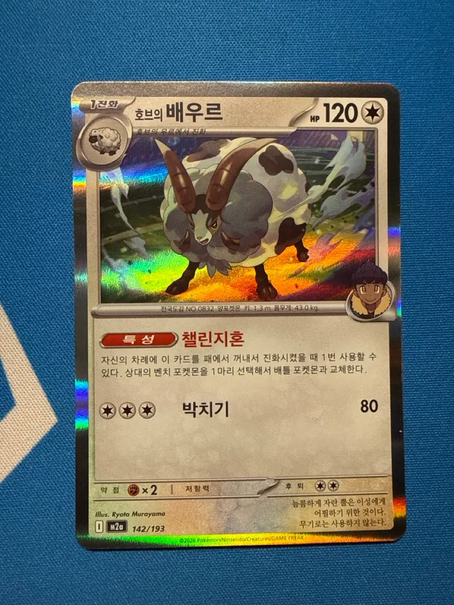포켓몬카드 호브의 배우르 r