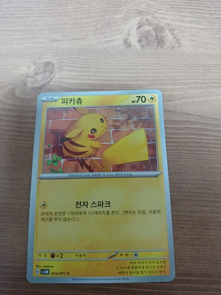 피카츄 (여름츄)