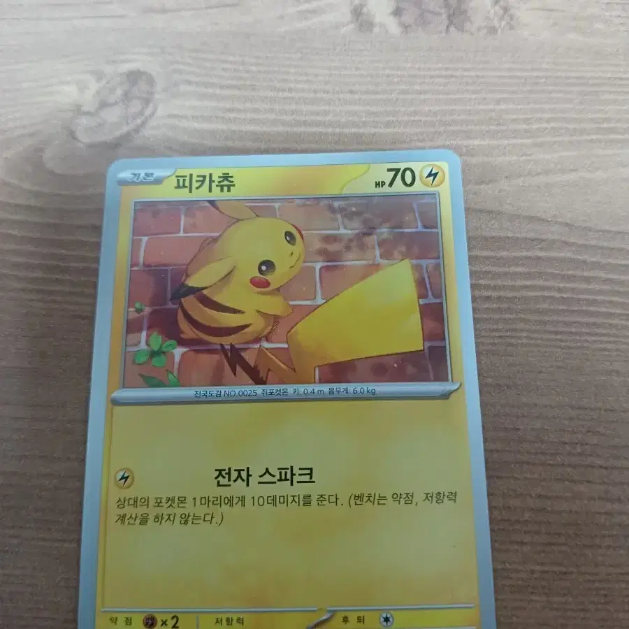 피카츄 (여름츄)