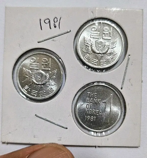 (특년도)한국 1981년 일원 동전(외국주화)