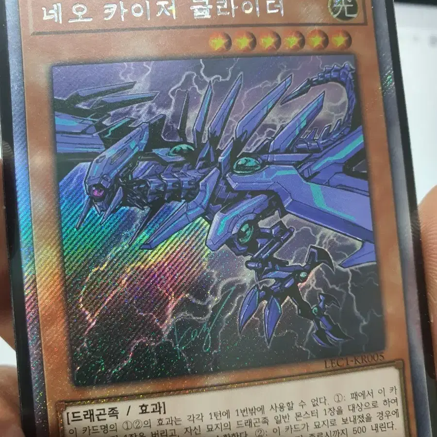 네오 카이저 글라이더 유희왕 카드