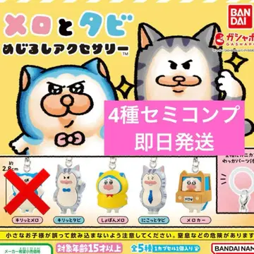 멜로와 타비 메지루시 액세서리 4점 세트 세미 컴프