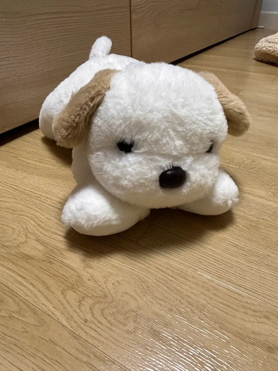 강아지 인형