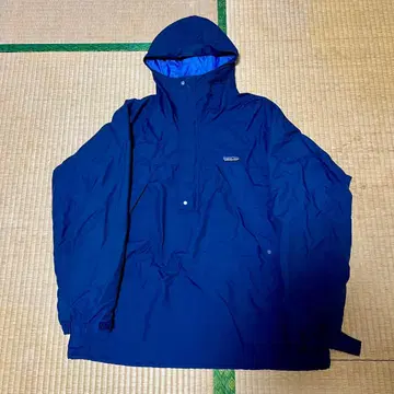 Patagonia 아노락 후드티