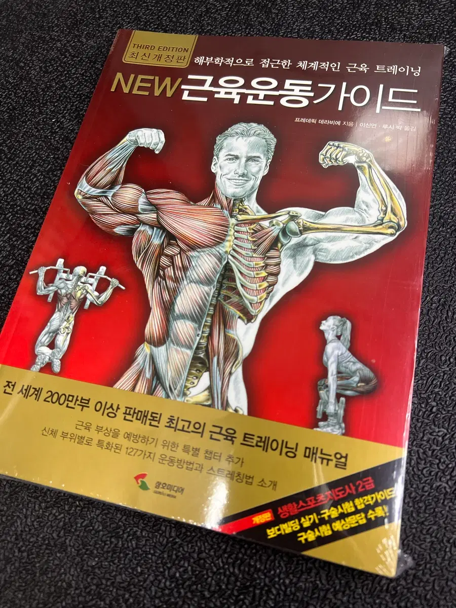 근육 운동 가이드
