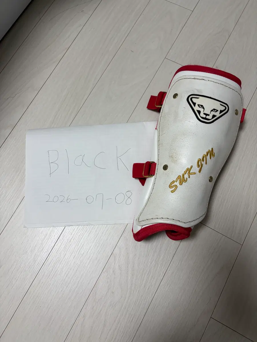 다이나핏 선수지급 풋가드