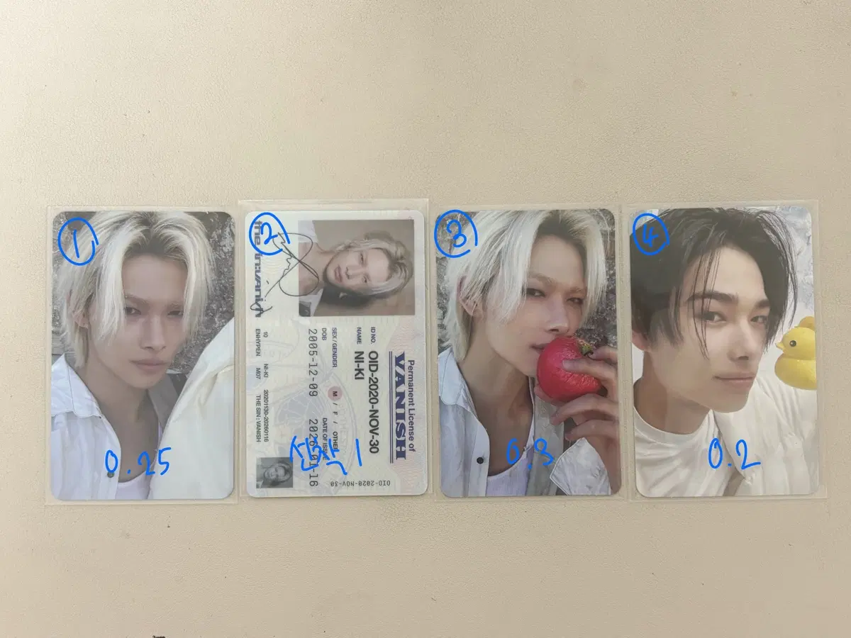 엔하이픈 니키 포카