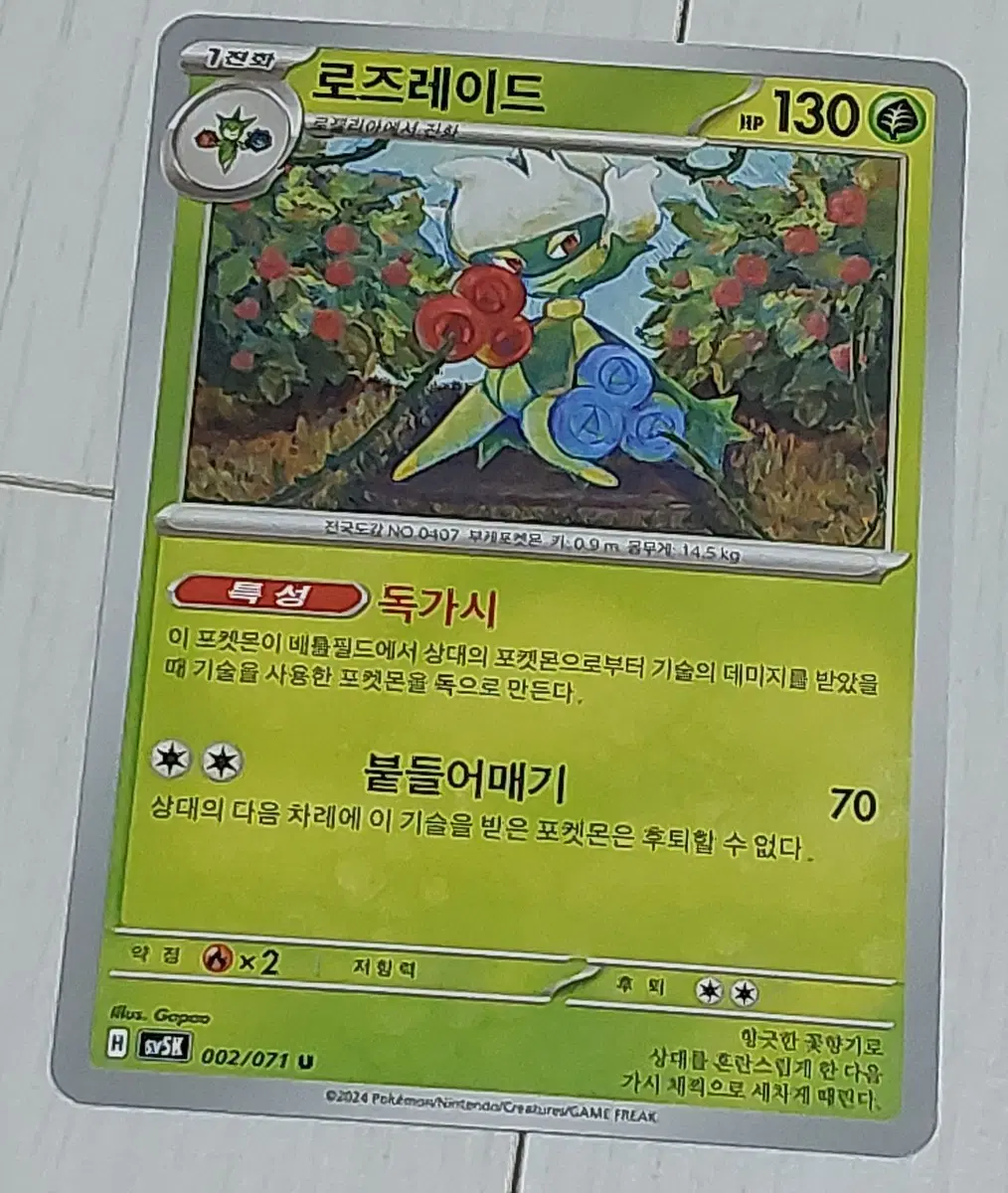포켓몬 카드 로즈레이드 싸게 판매 100원