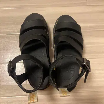 닥터 마틴 샌들