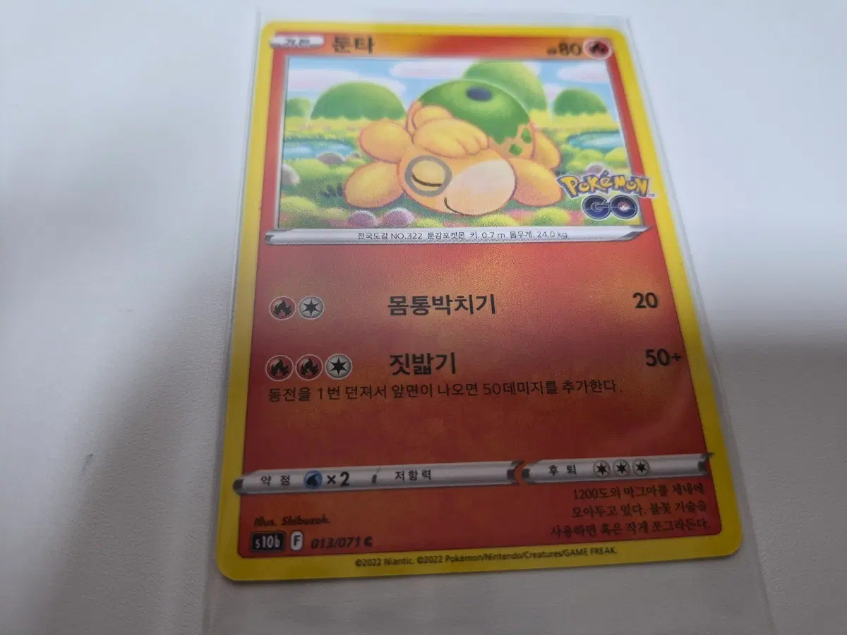 포켓몬 카드 둔타